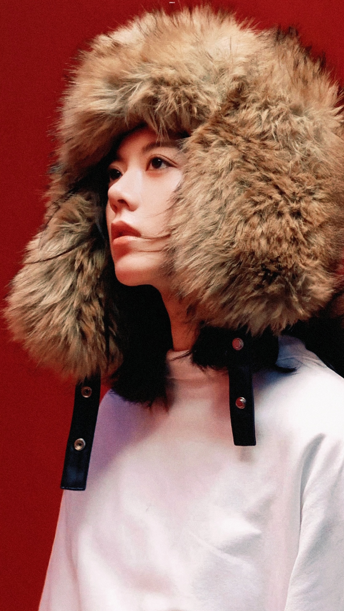 母狮🦁赵今麦miumiu品牌大使 ｜赵今麦