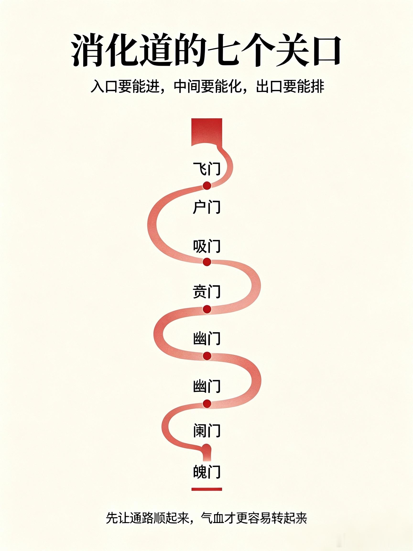 身体的消化道，像一条有七个关口的通路。入口要能进，中间要能化，出口要能排。任何一