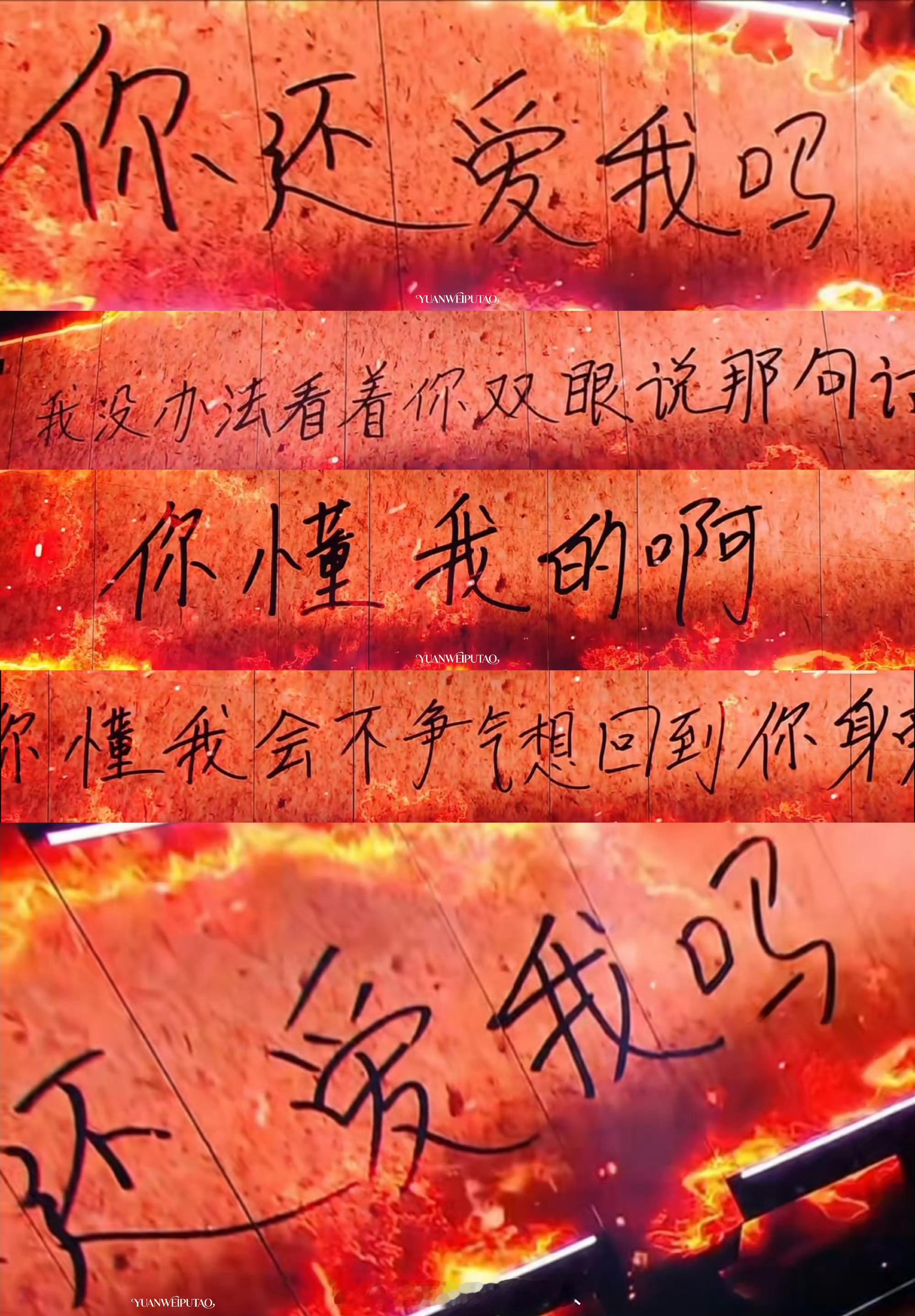 这么深情  谁能不爱张真源啊张真源唱在加纳共和国离婚