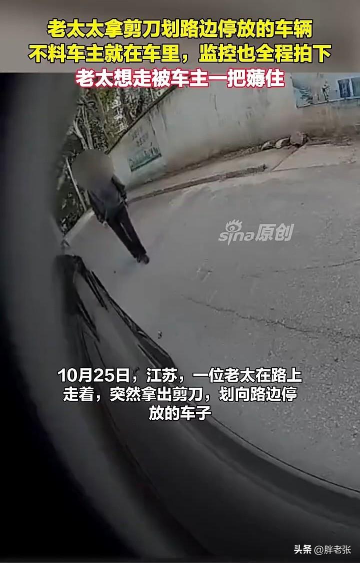 不管你多大岁数，恶意毁财被被究！你老了没有承担能力，但是你的儿女有！

近日，在