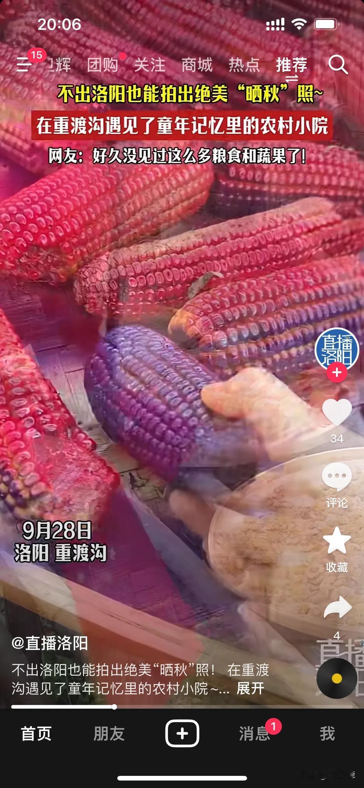 没有长成这种颜色的玉米吧，还能渐变色？种粮食不容易，这还能吃吗？#谁能懂玉米#