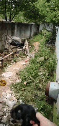 小样还治不了你，拿捏 