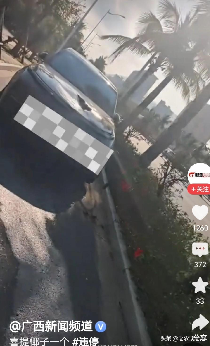 小车违规停在非机动车道上，被椰子砸中！
在本人所居住的城市，小车违规停放在非机动