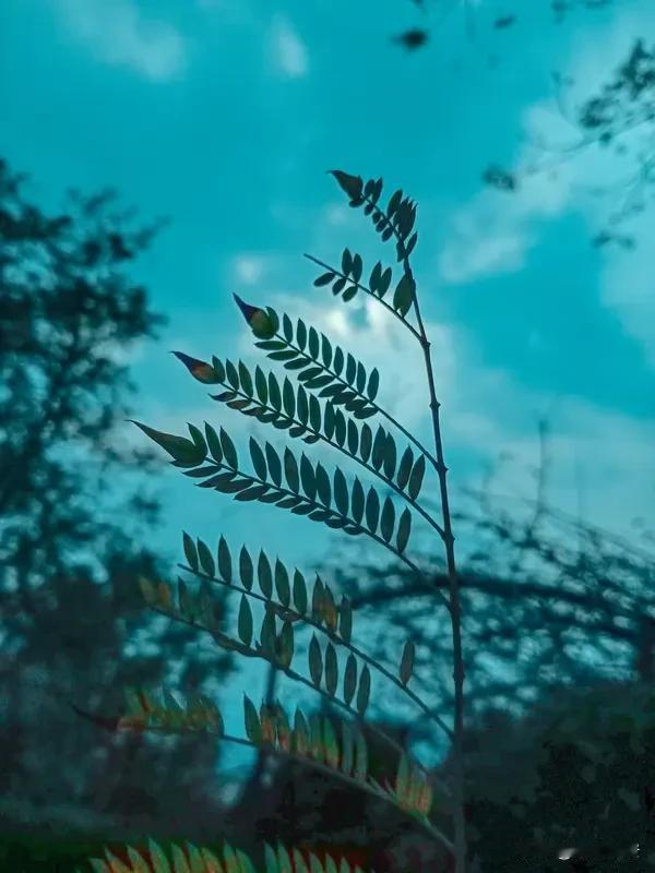 晚风掀开你的刘海
你欲盖弥彰的泪痕
在深深浅浅的粉底间若隐若现
多像一道浸血的鸿