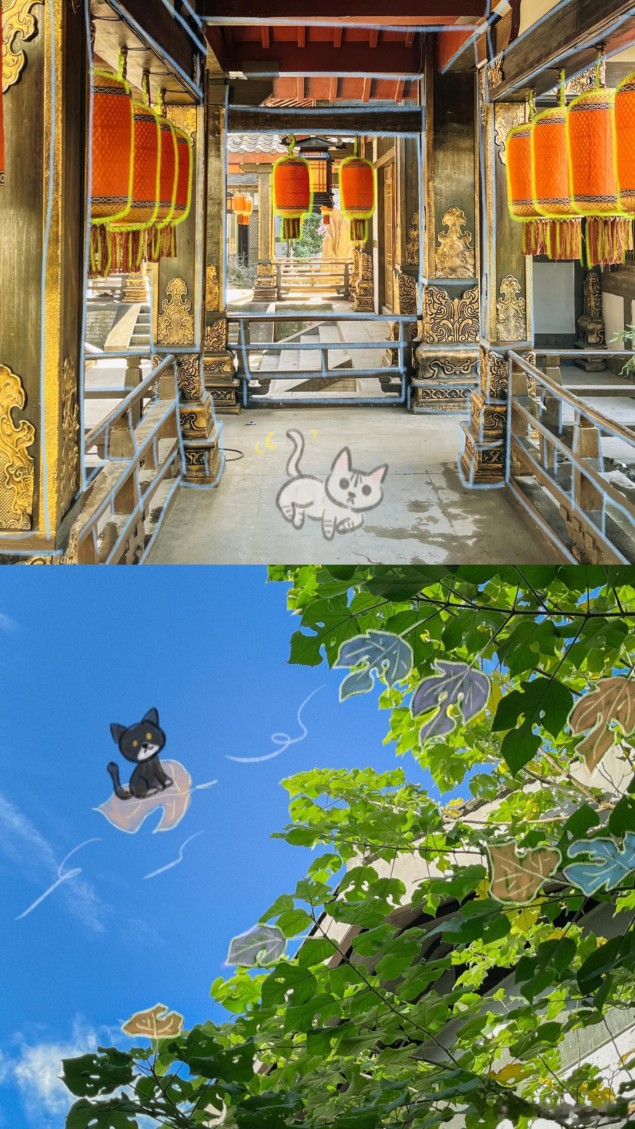 景色在丁禹兮眼里都显得温柔又生动 