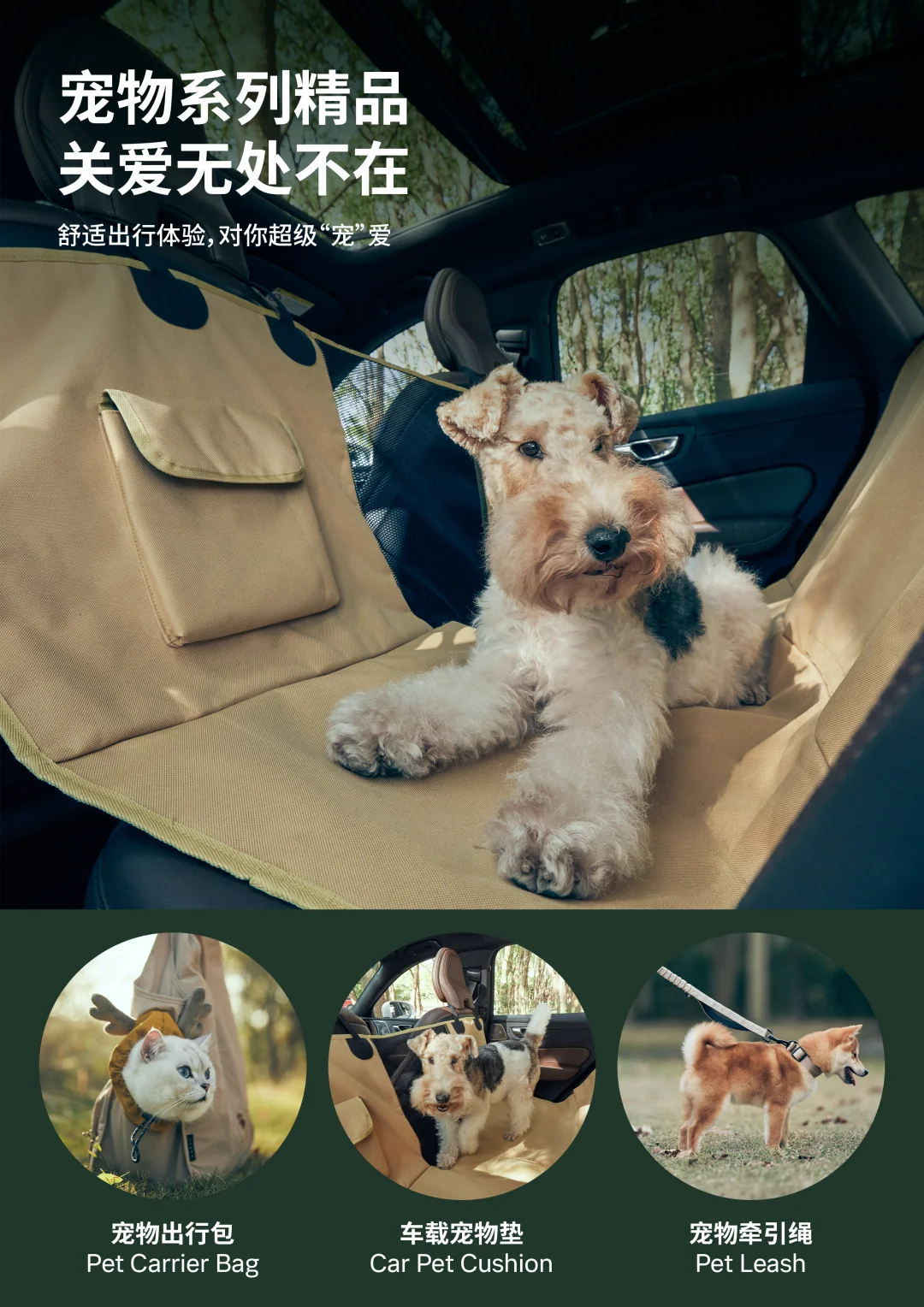 「 带狗子春游｜沃尔沃精品yyds」