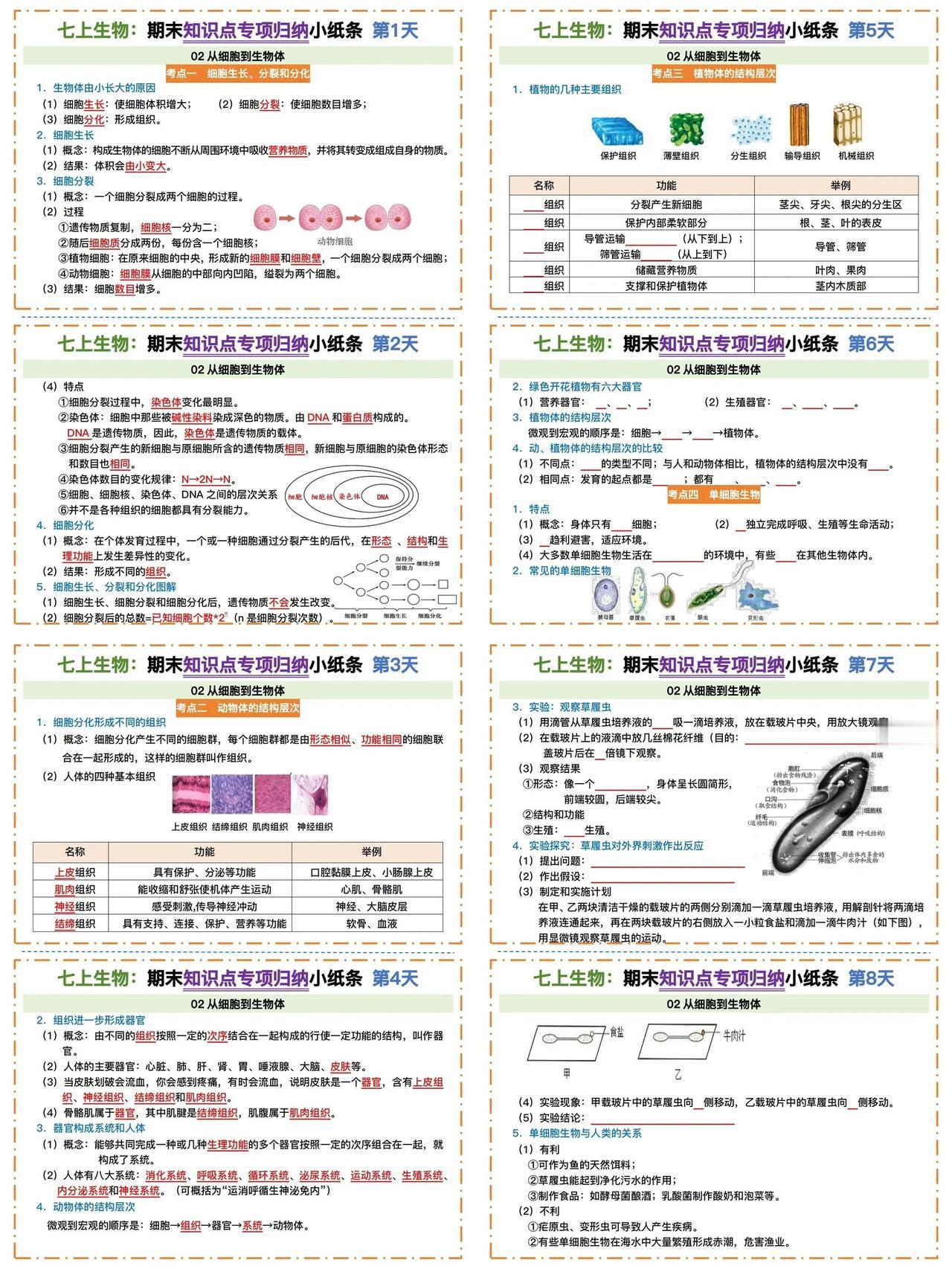 🆙新七上生物-期末知识点考点归纳小纸条