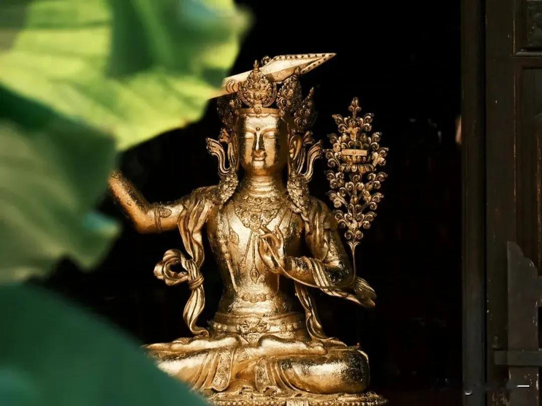 同样置身于疫情管控期间，同样身为华夏儿女，你无法迈出小区大门，他却能够逃往国外，