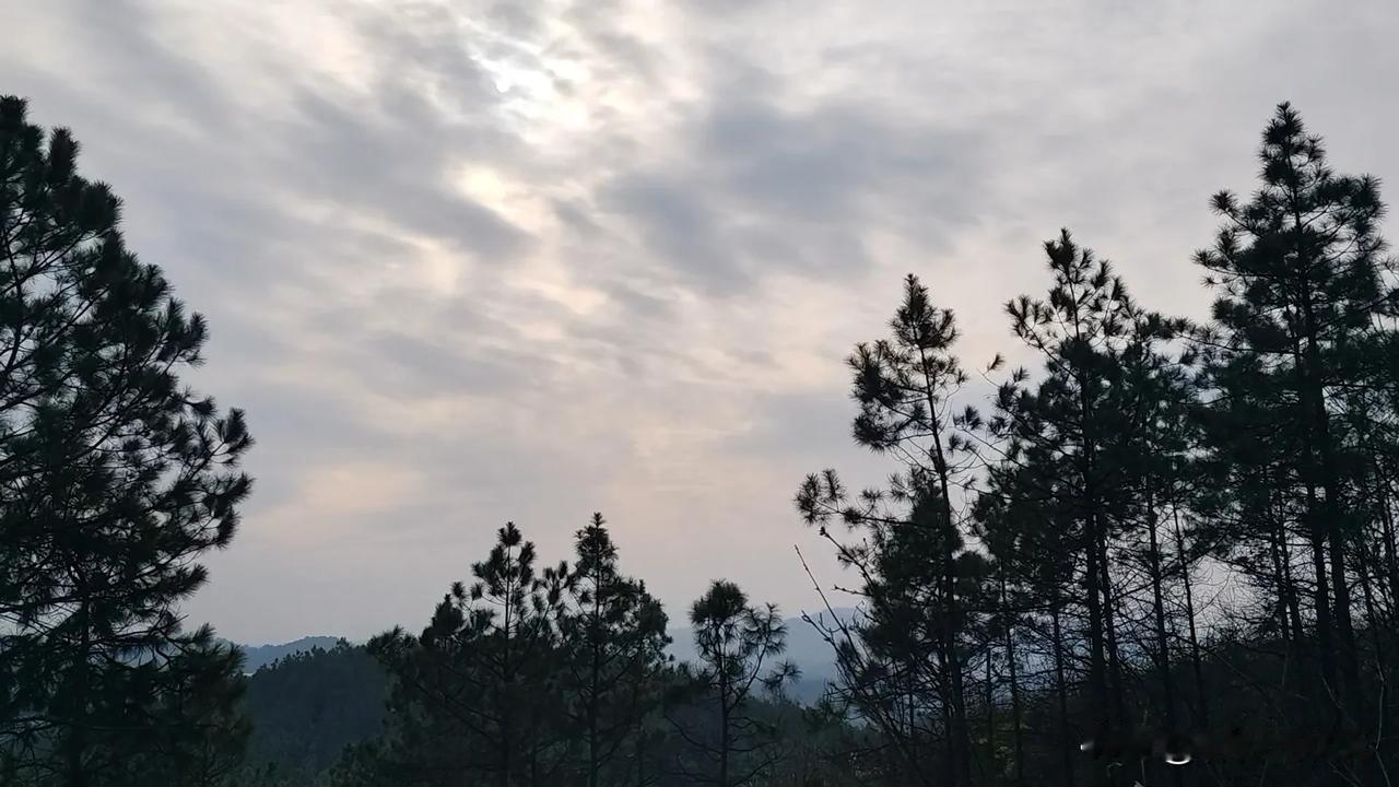 上联：卷帘听夜雨，下联邀您对坐顶观浮云