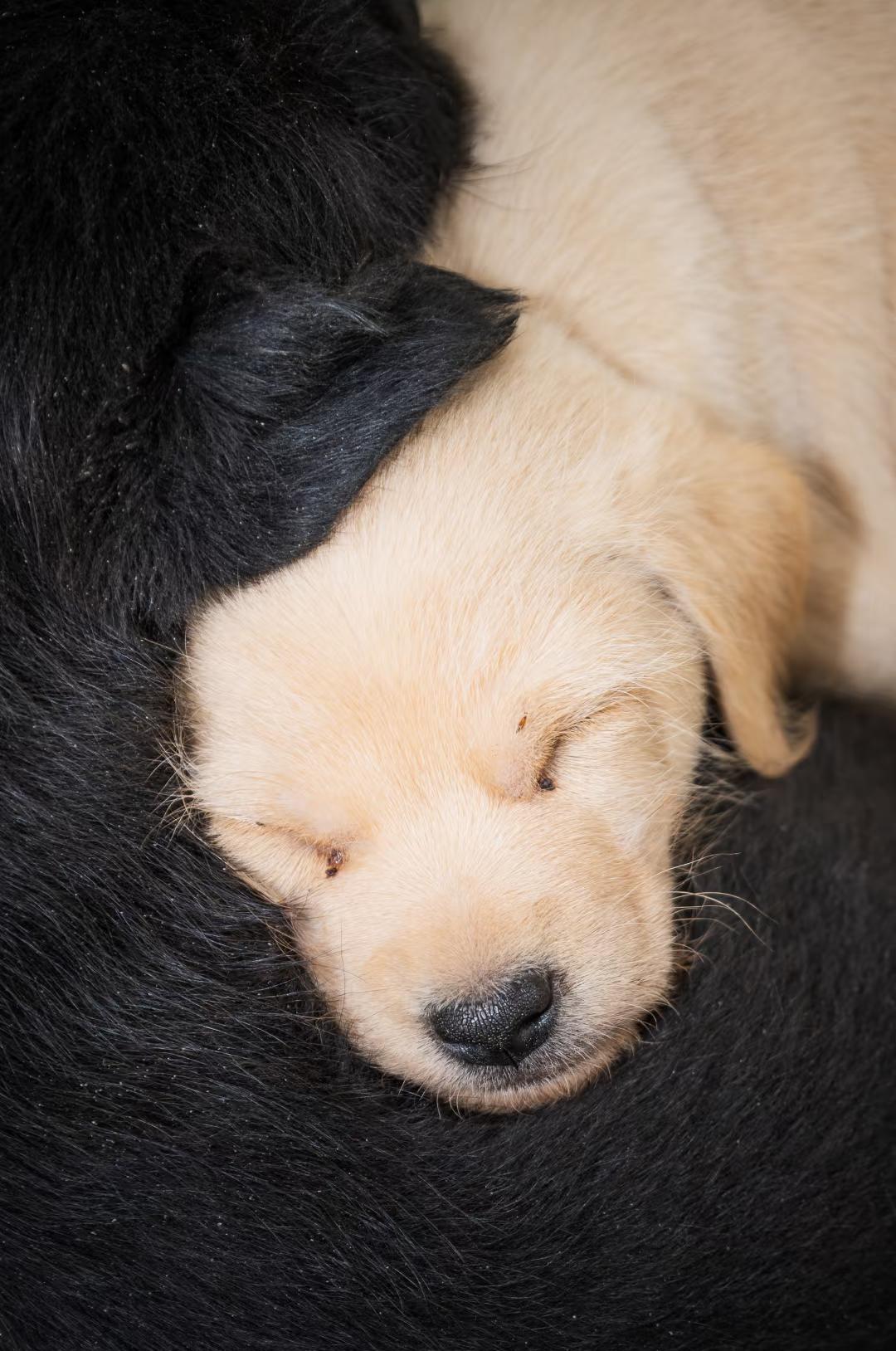 心安即吾乡
唐昌是一个特别让我心安的地方。美食密集，居民和善，草市烟火，拍照安心