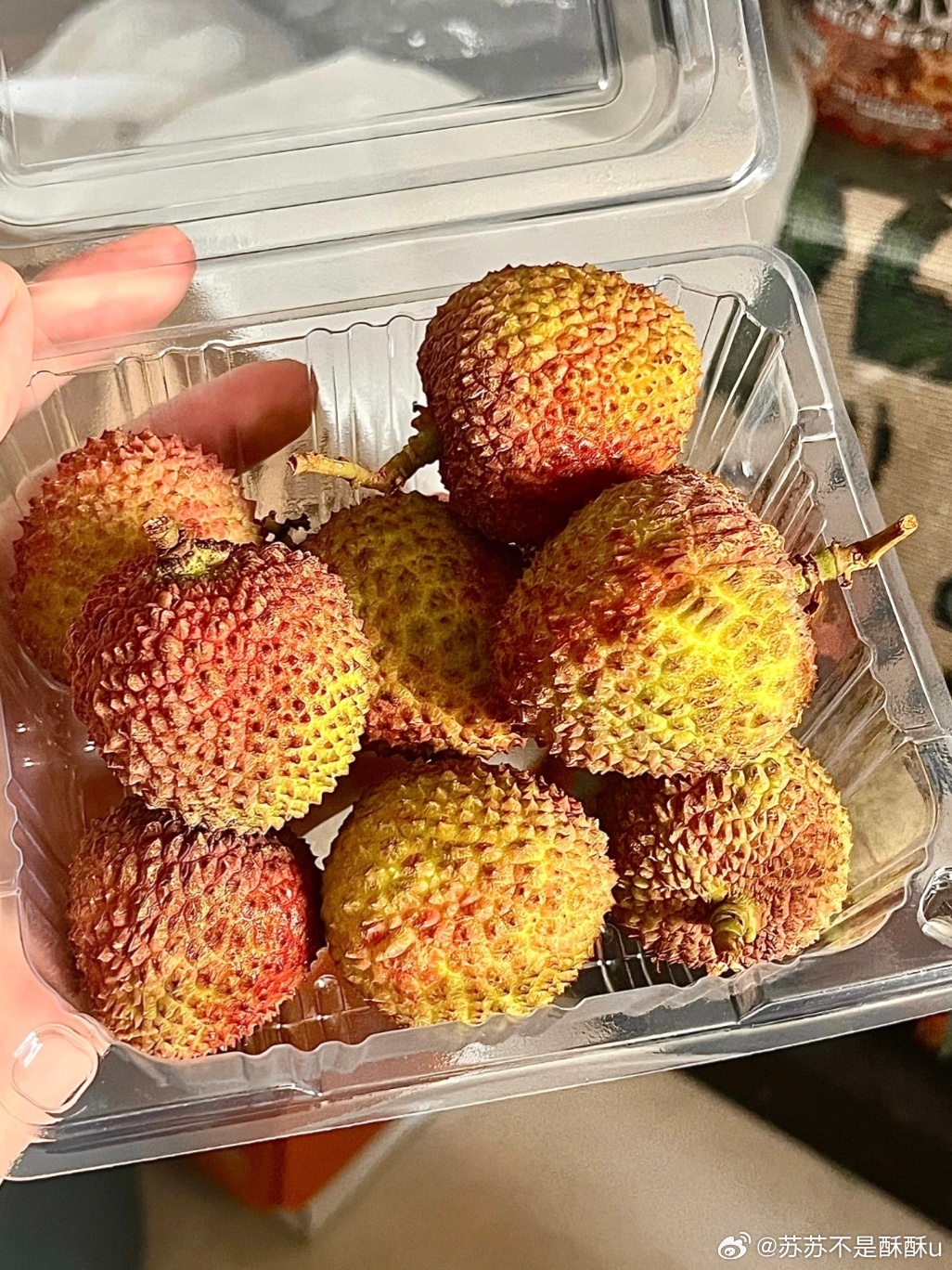 活荔枝 死荔枝 原来新鲜活荔枝果肉晶莹透光，对比太明显，瞬间羡慕南方人的口福。 