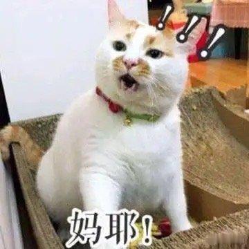 AI实测超市千款食品热量真相 牛肉丸和鱼丸比，牛肉丸蛋白质高些拿B，鱼丸加了肥膘