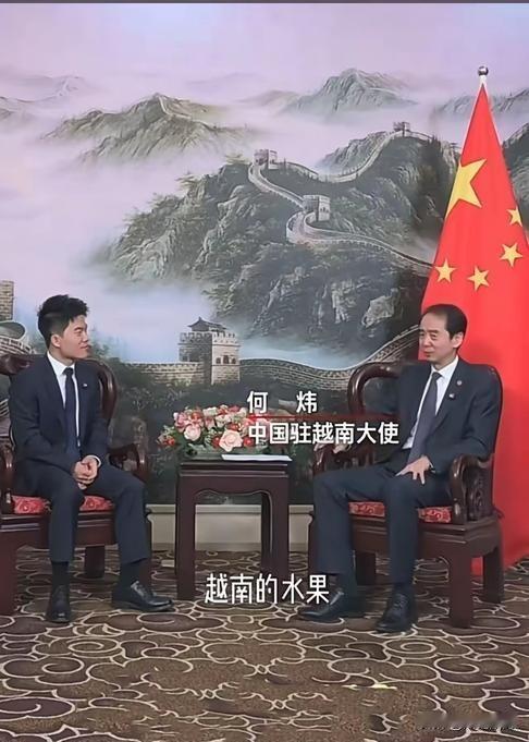 看到董宇辉跟中国驻越南大使坐一起的画面，
我第一反应居然不是“哇好厉害”，
而是