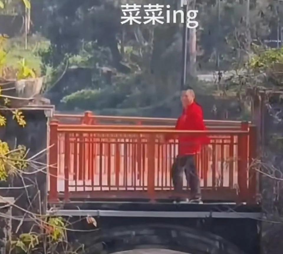 挑战鹰眼成功，看到了德华和王楚钦，没有看到莎莎。
两个人水灵灵的从桥上走过去，红