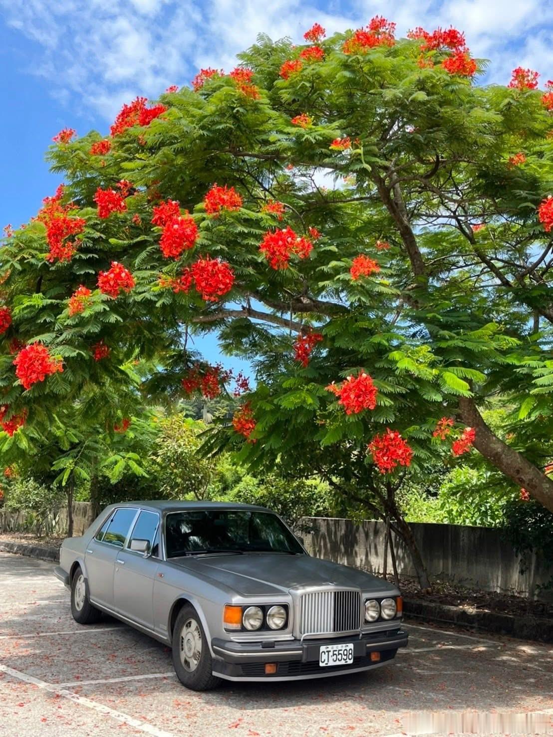 台湾老车🇬🇧1994 Bentley Brooklands ​​​