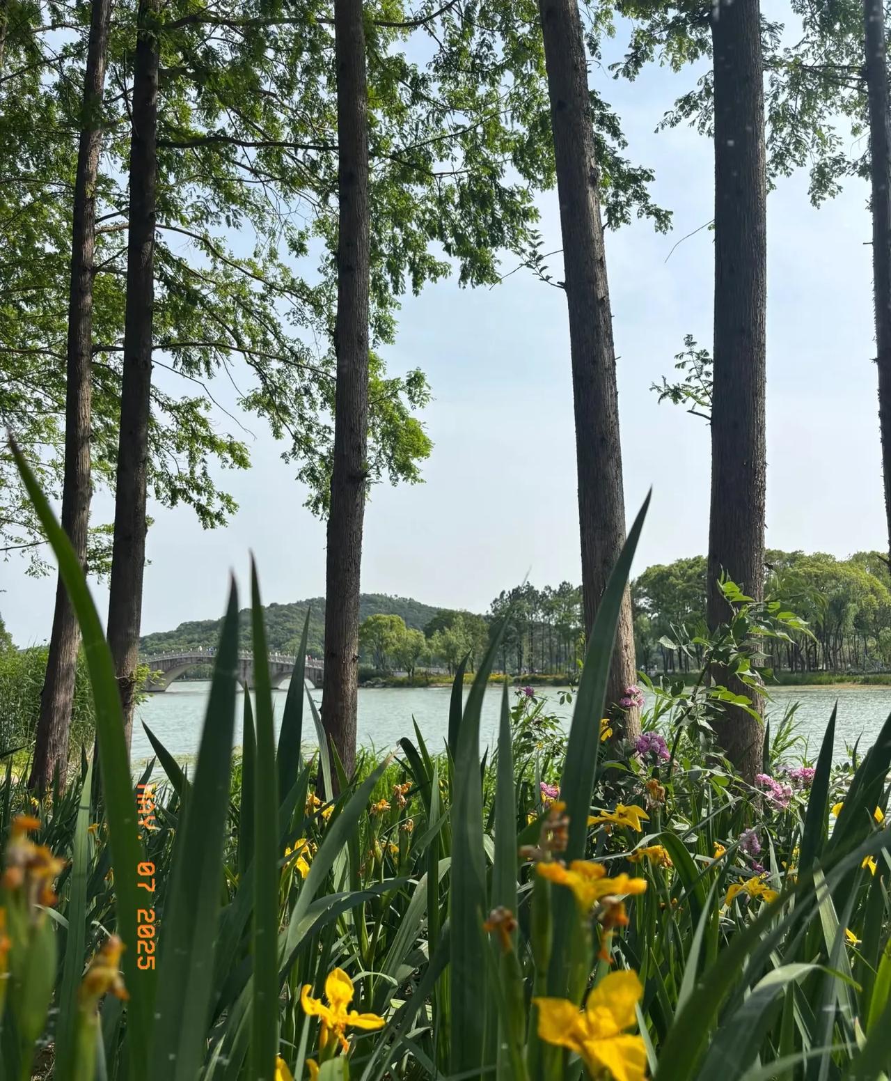 蠡湖风光