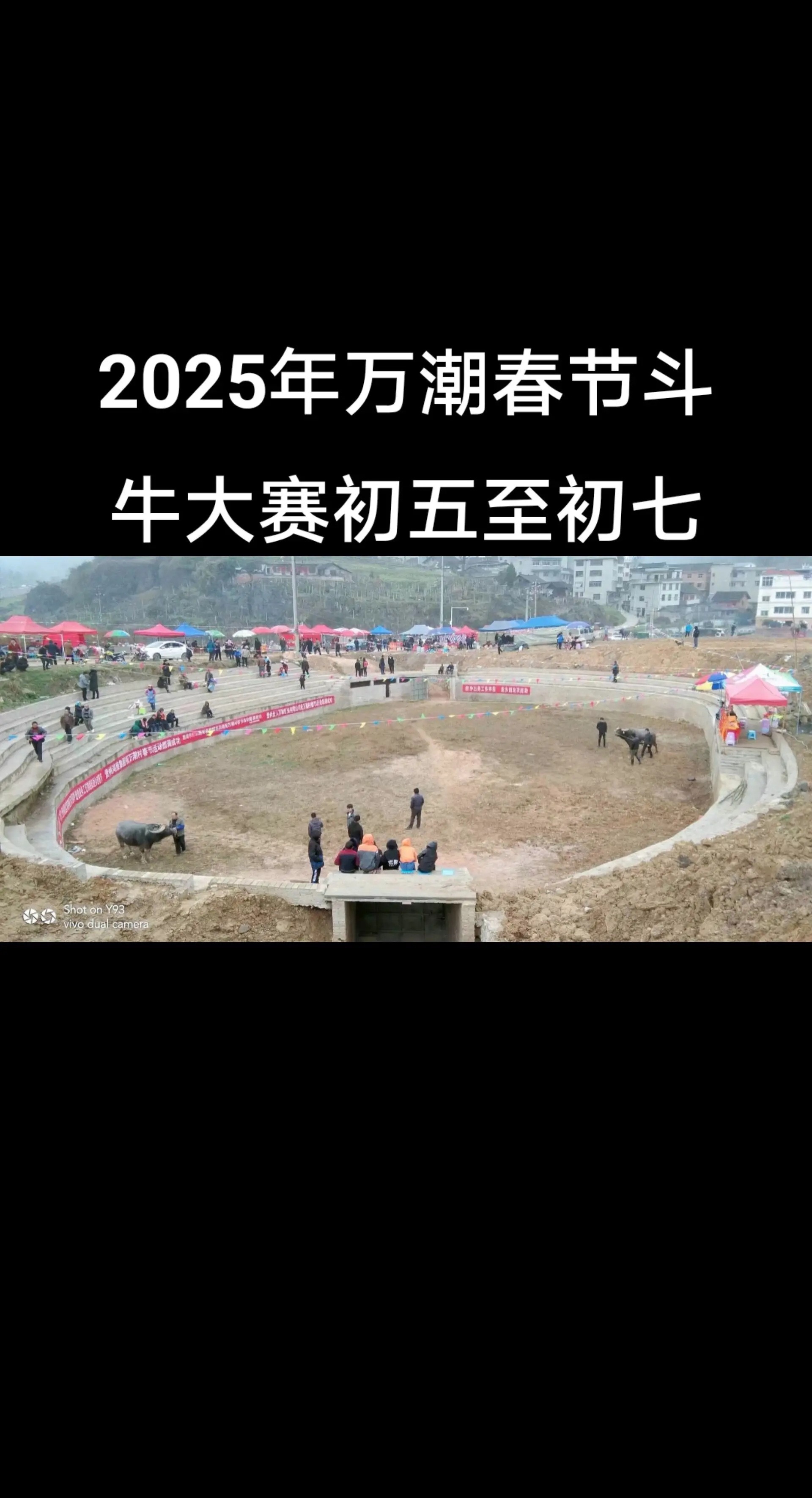 万潮春节斗牛正月初五至初七