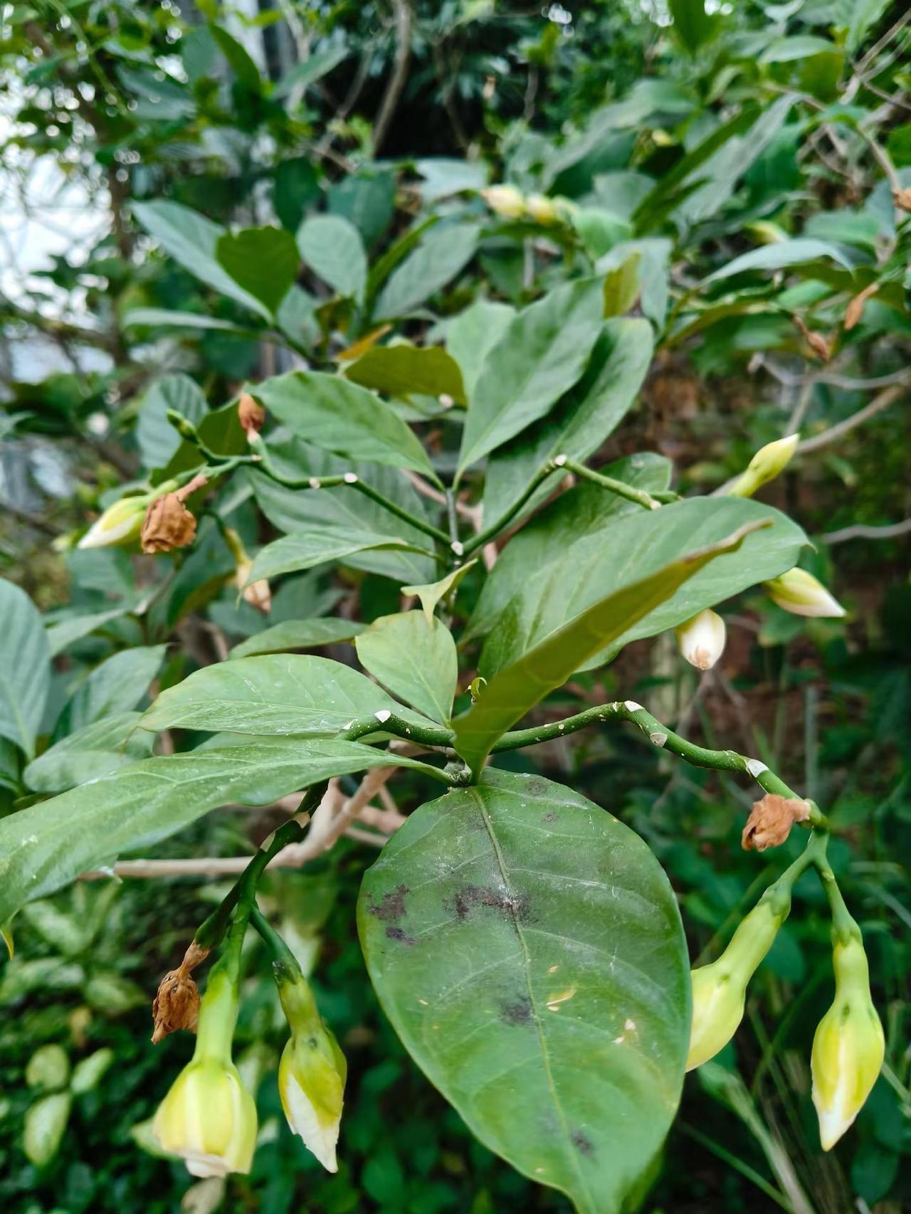 漂不漂亮你们说了算