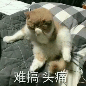 北京南出发秦皇岛，我得提前去车站，因为这次出差身份证忘带了[二哈]我的日常plo