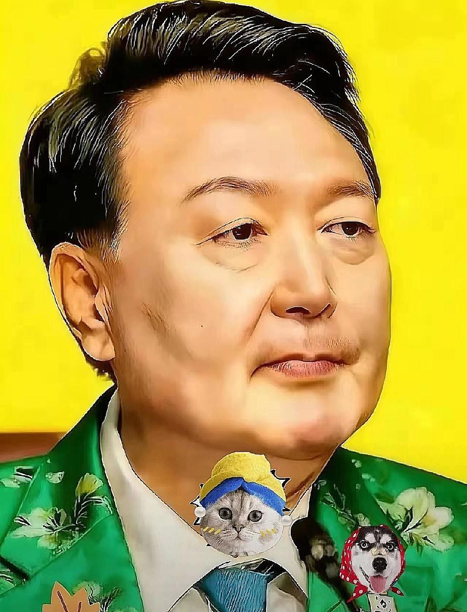 快报！快报！
韩国法务宣布了
韩国政坛大地震！前总统尹锡悦在首尔看守所被羁押10