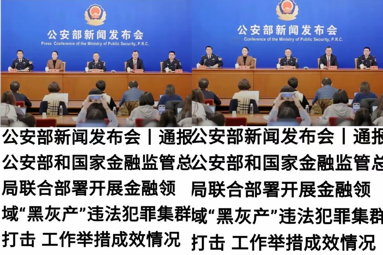 这一巴掌扇得太响了！
12月25日，公安部联合金融监管总局放大招，严打金融领域“