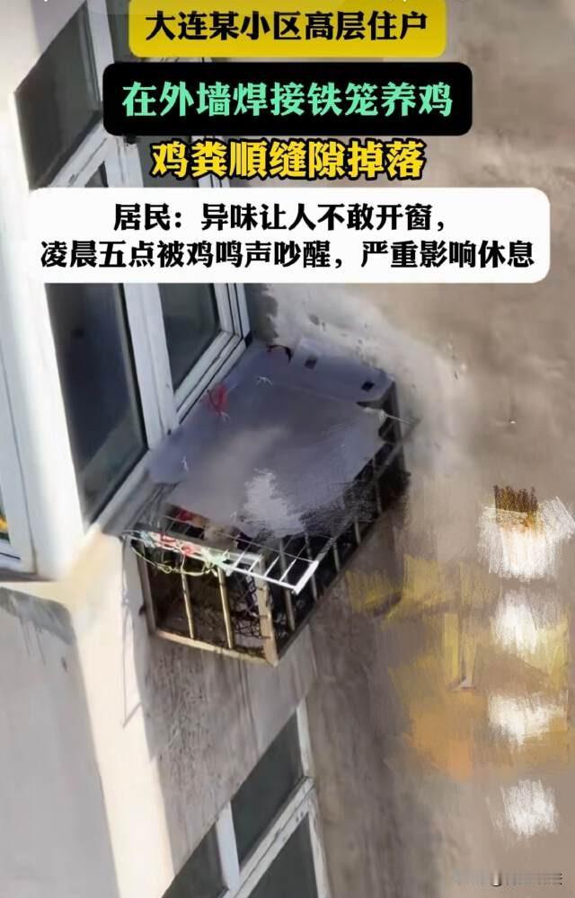 大连，高层住户在空调外机位置搭建了一个鸡笼，鸡屎顺着墙壁往下流，把楼下所有住户的