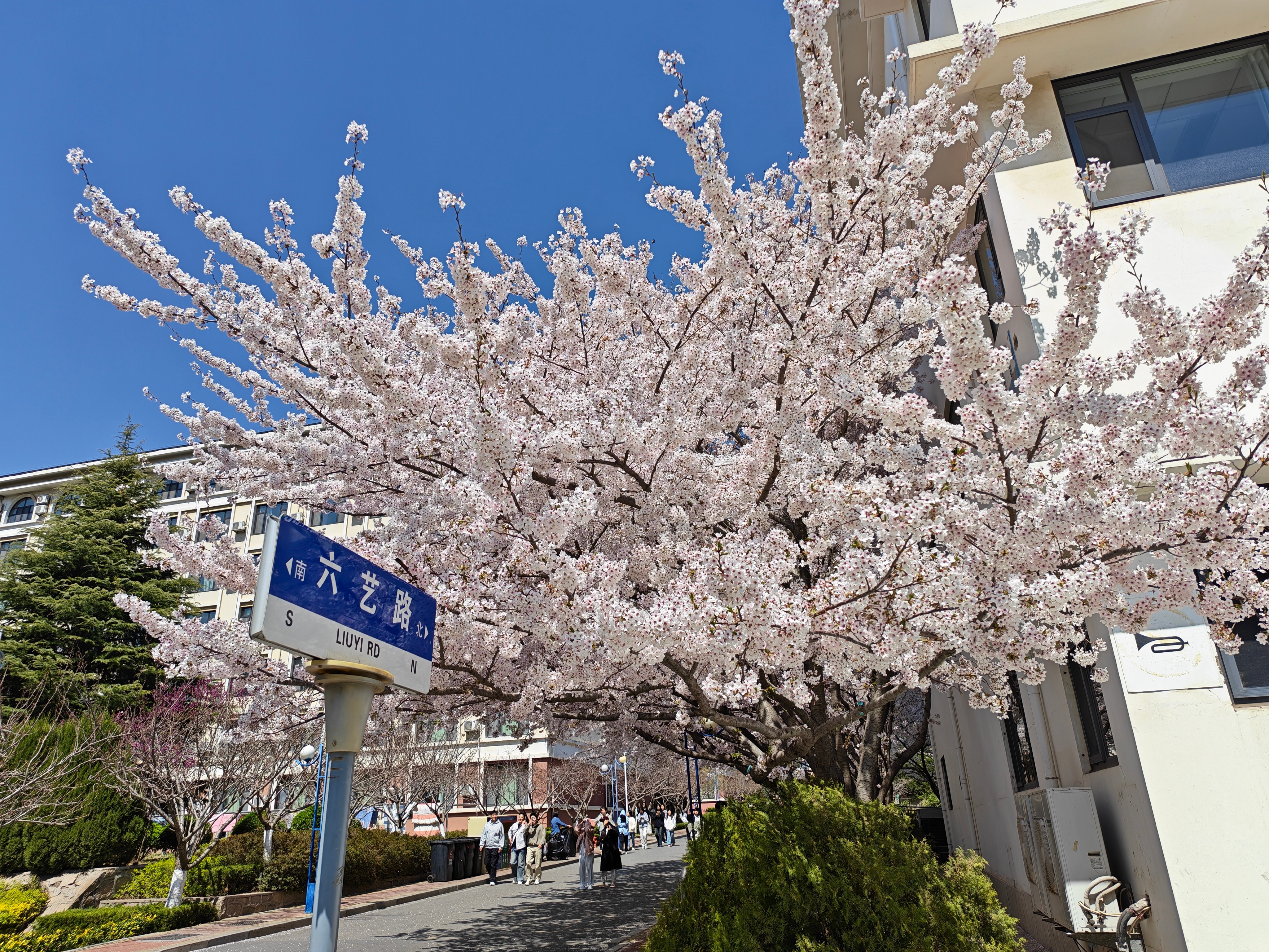 青岛黄海学院 今天回到母校看了看 毕业五年来第一次回来看看，变化很大，这几年学校