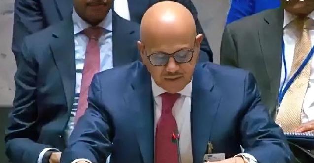 俄罗斯和中国否决了联合国安理会一项决议，该决议鼓励各国协调"防御性质的"努力，以