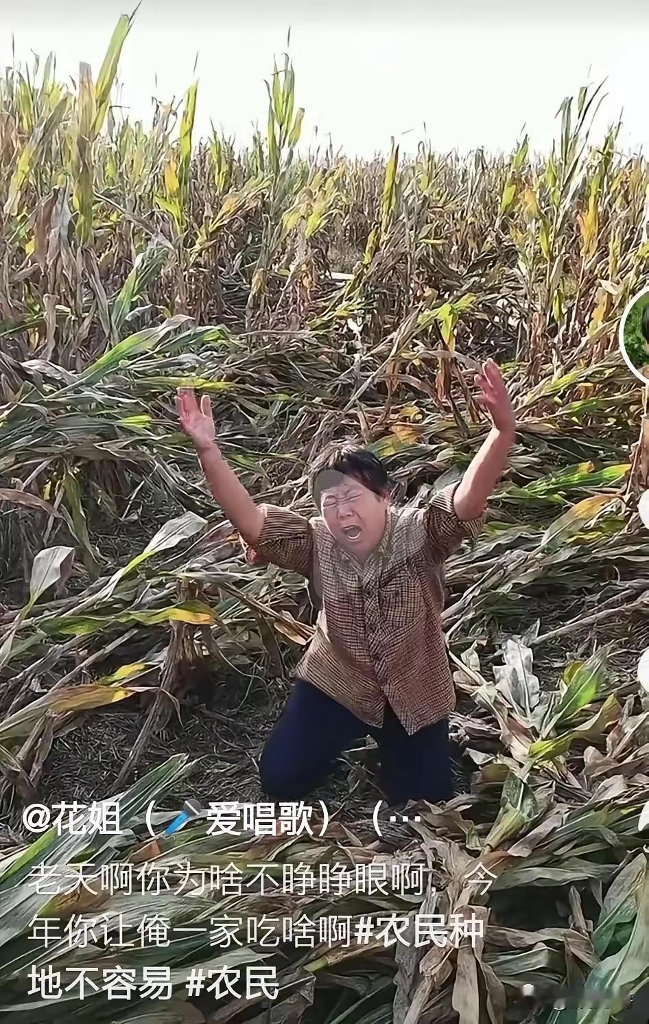 悯涝农
 
连月阴云锁野丘，
垄间浊浪没新秋。
蓑翁倚杖空垂泪，
曾把春心种土头