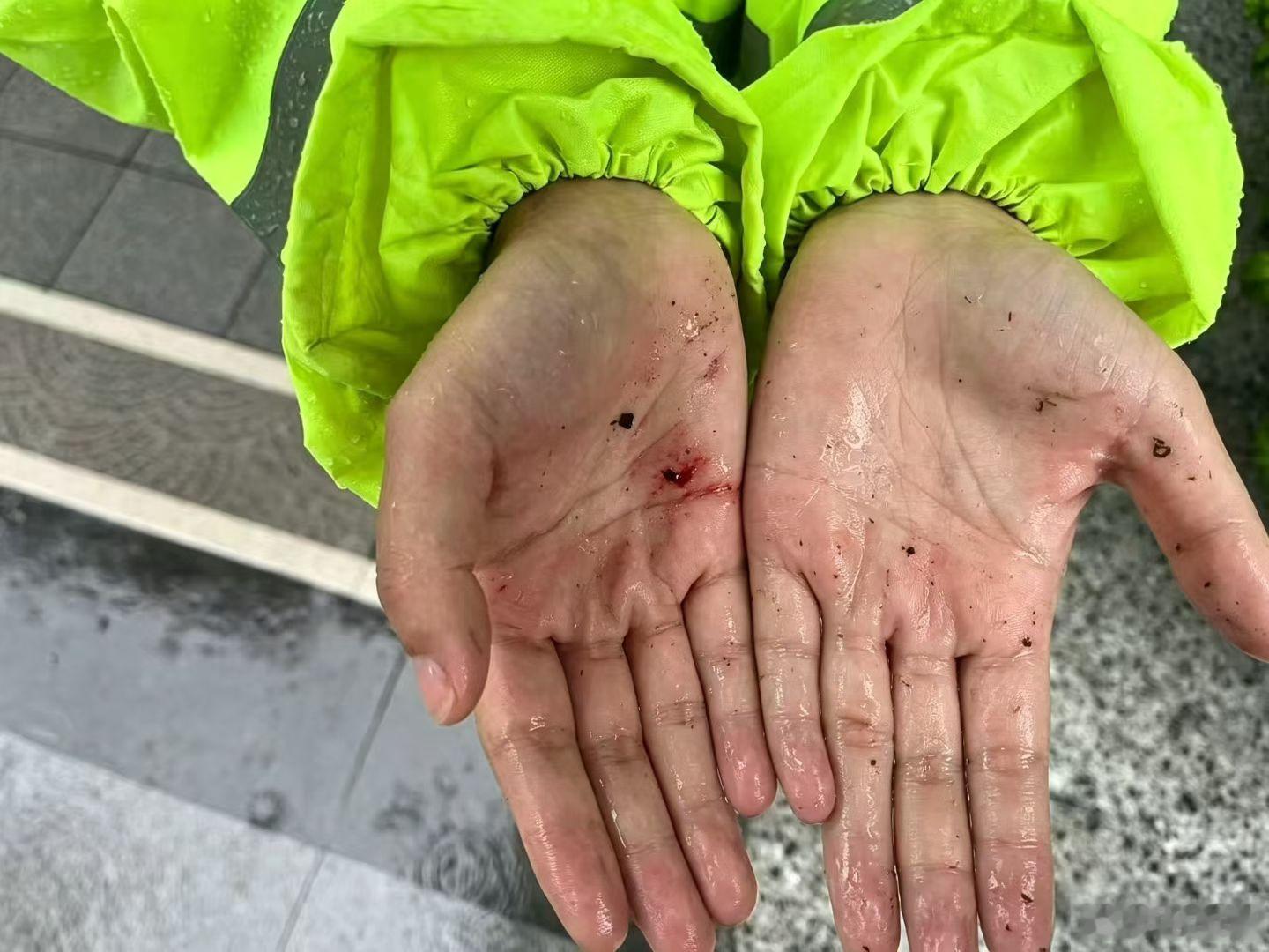 台风白海豚“哪有什么岁月静好，不过是有人替你负重前行”具像化 