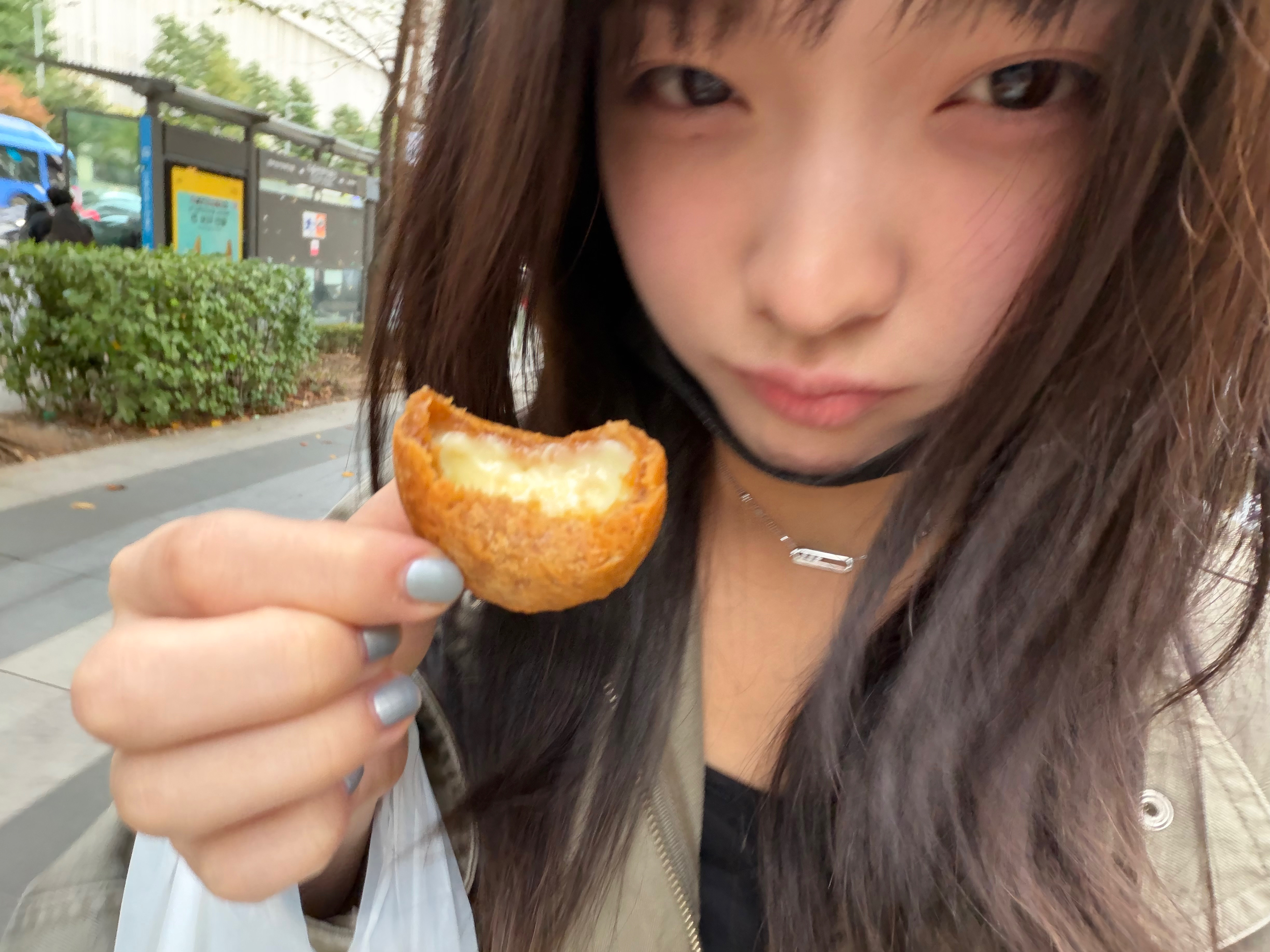 🐢💬: 正在吃芝士球中.. ​​​