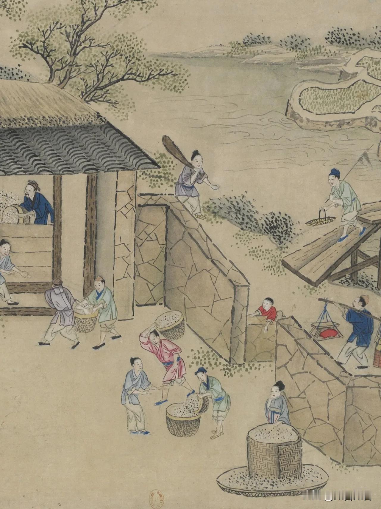 #要改变命运最重要的是什么# 💥【揭秘！】改变命运？这才是真·硬核操作！🔥
