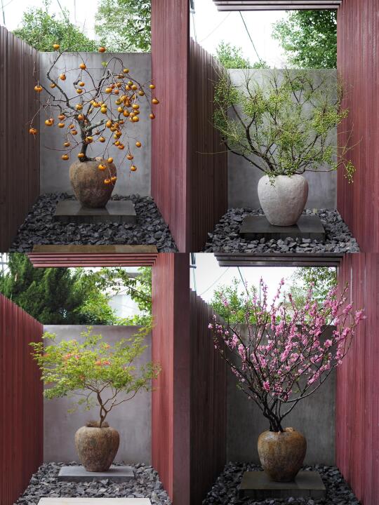 春有约 花不误