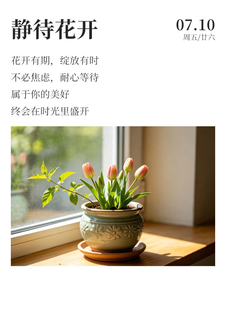 早安  ⛈️每日早起打卡 专心踏实做好眼前每件小事，不必急于求成，脚下的路自会慢