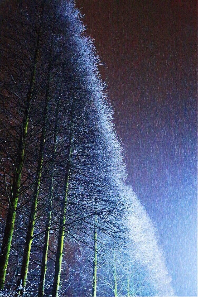 所谓：听从内心的呼唤。就是让自己内在的世界，成为自己去感受外部世界的引领者，而不