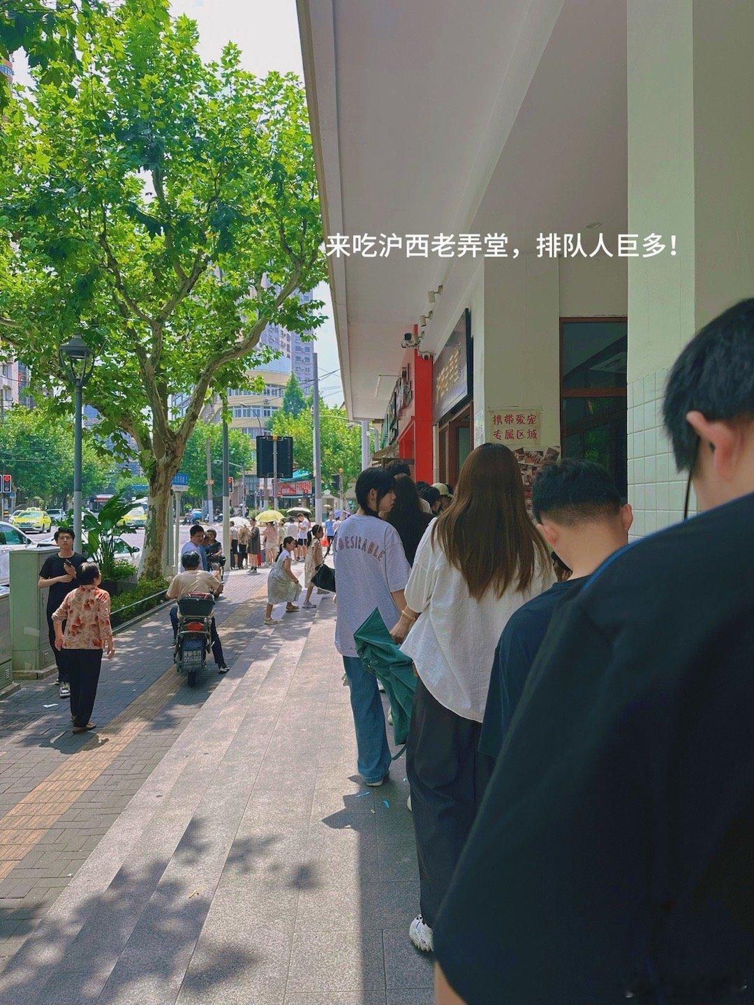 PLOG.105 [微风]盐盐的日常给新家换了一个吊灯，真的太美啦！法式的氛围更