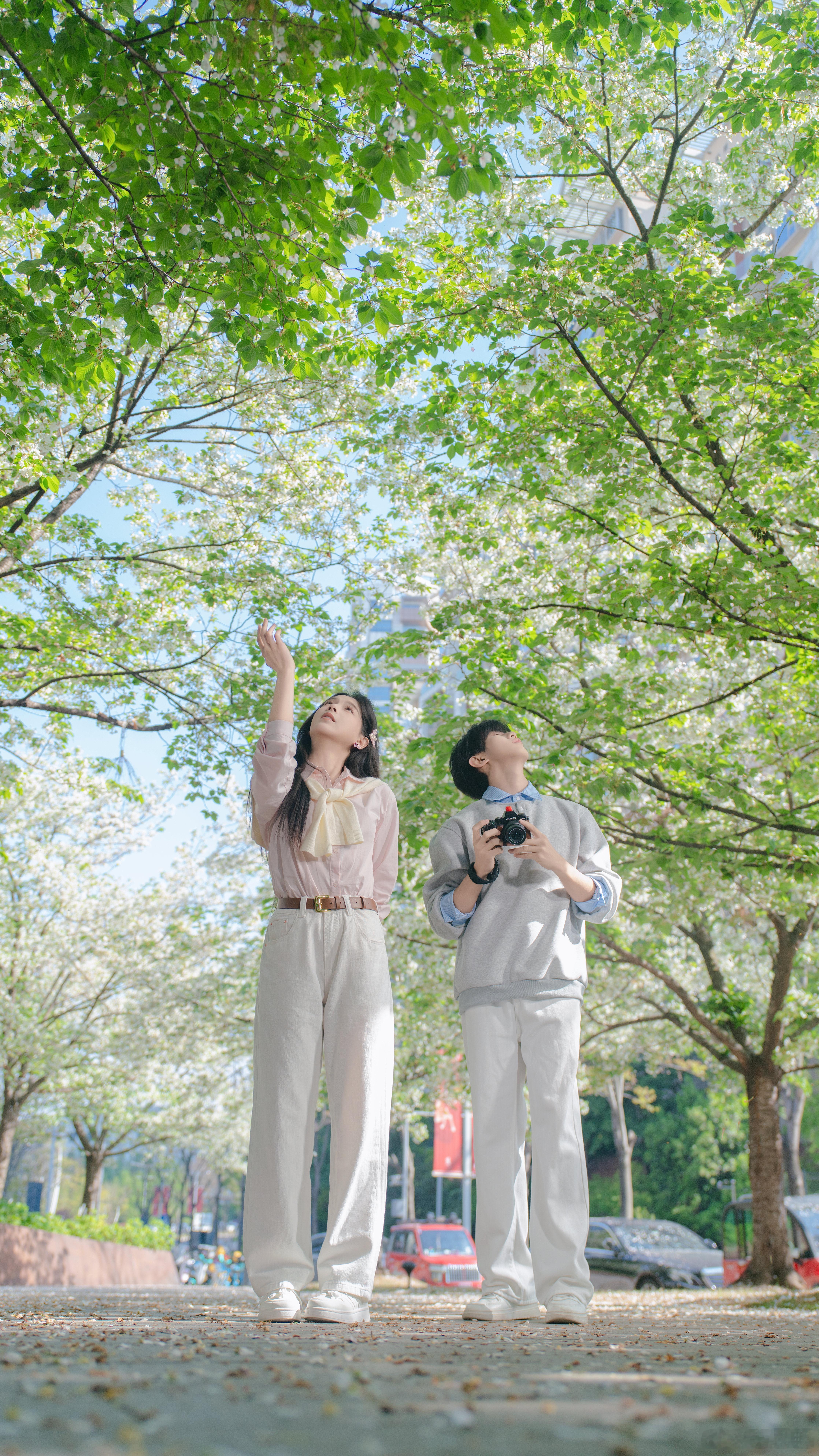 “花瓣下落的速度是每秒五厘米今天的太阳、晚风 、神代曙樱，都好过一整个春天₊ ⊹