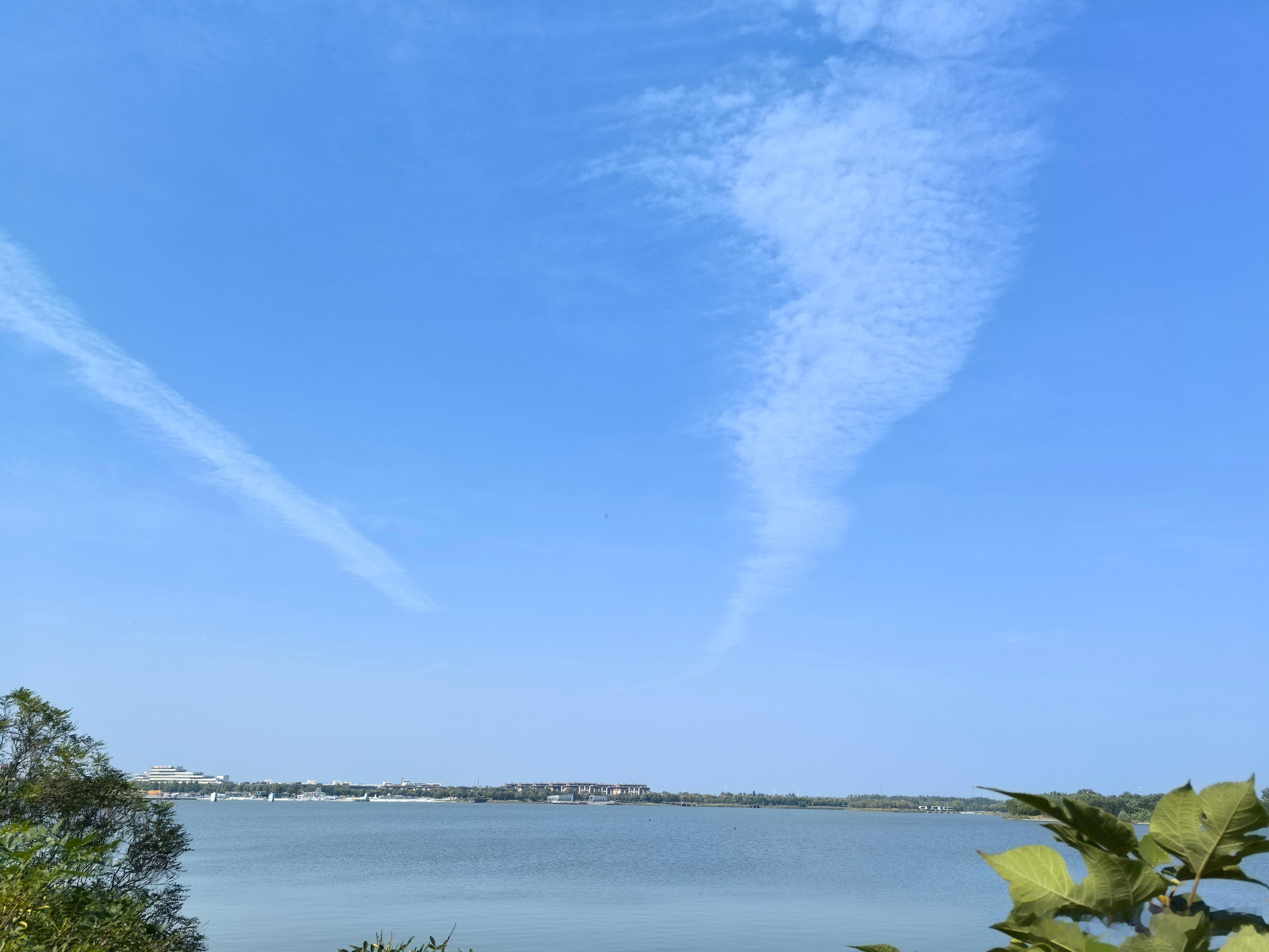 津彩绽放点赞天津 夏日 