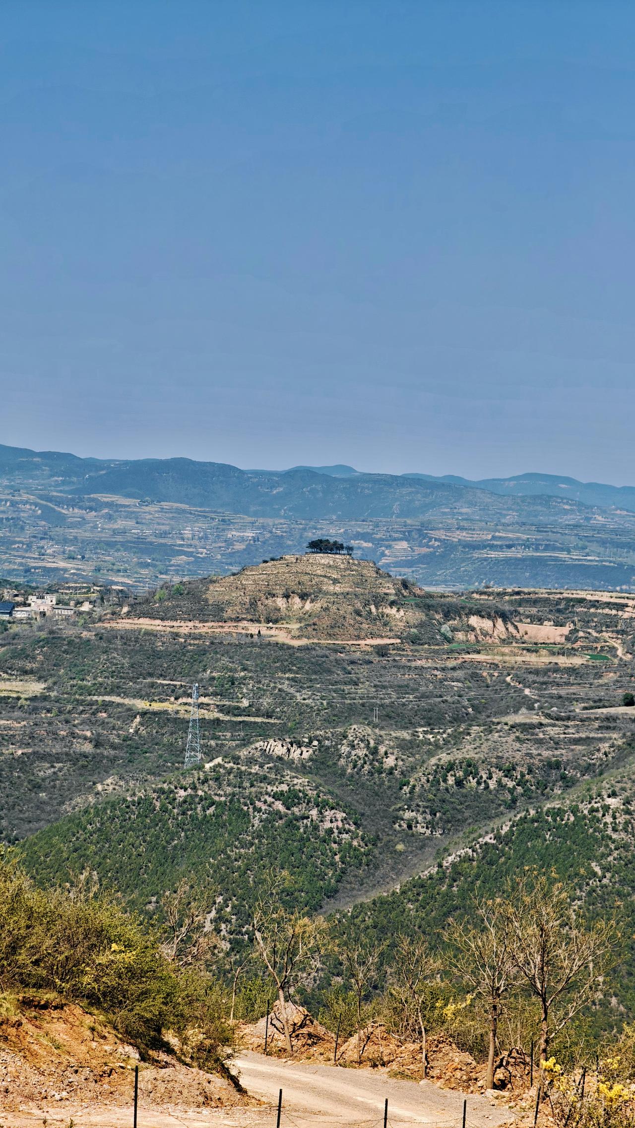 就喜欢手机摄影。
上山采野菜，北去土门镇，向西上山，一村名曰柏疙瘩，即到地点。