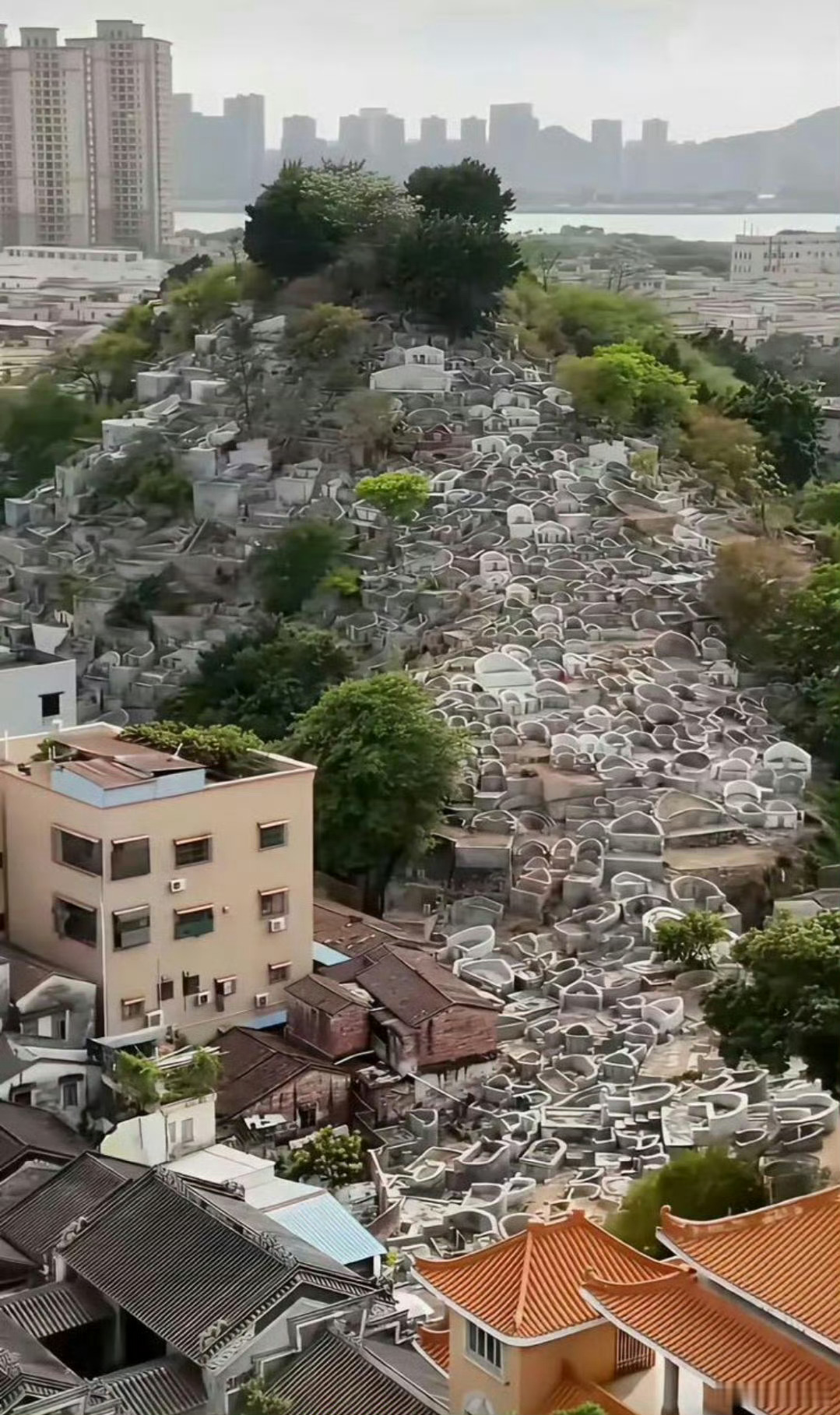 每年给你20万，你敢住这里吗 