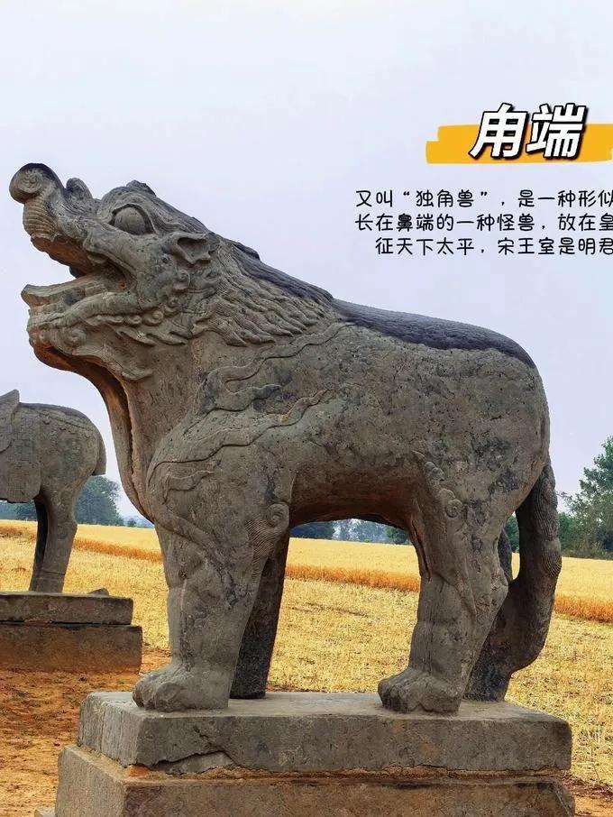 拍一张你的城市美景
