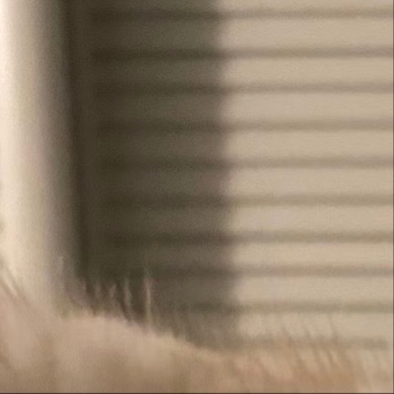 0000《望岳》杜甫岱宗夫如何？齐鲁青未了。造化钟神秀，阴阳割昏晓。荡胸生曾云，