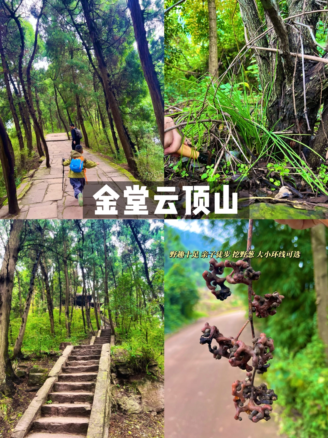 成都出发1h‼️小众冷门赏秋徒步金堂云顶山