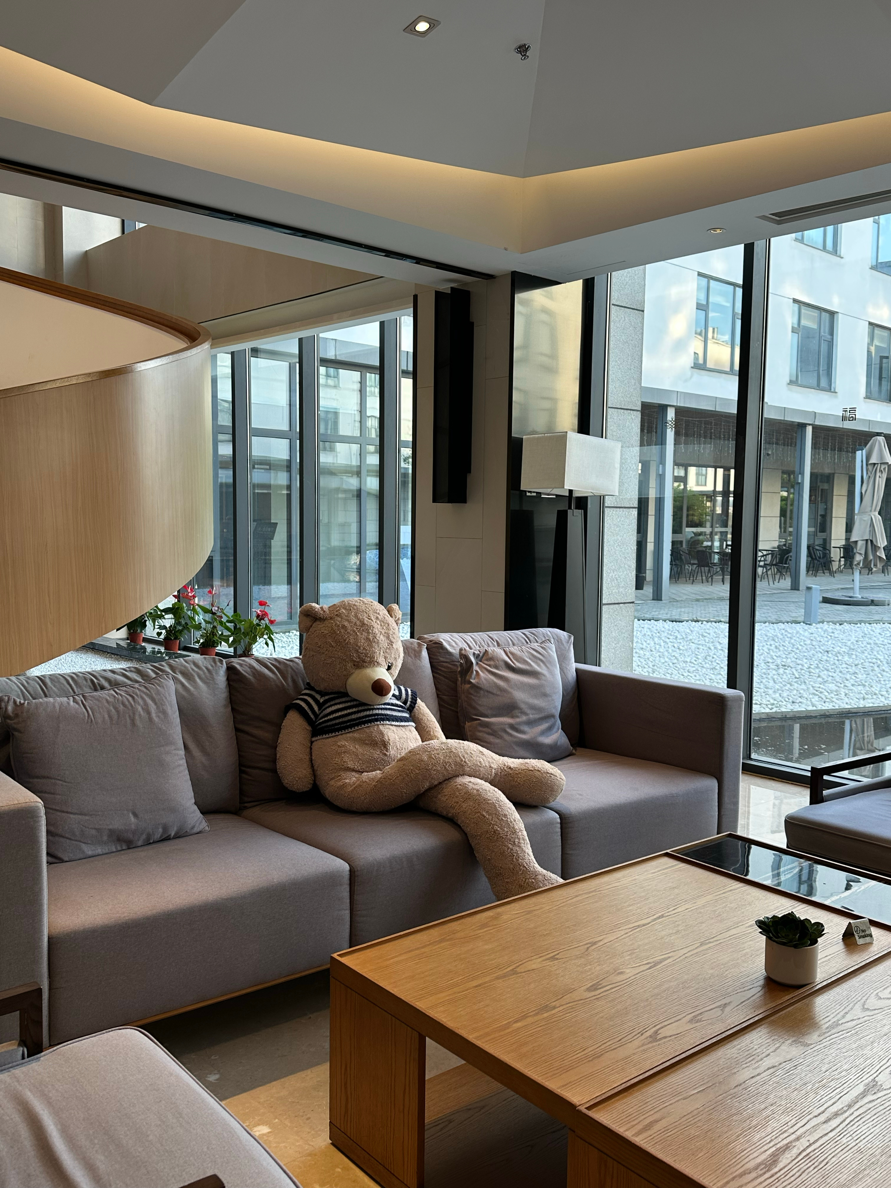 我的浪漫瞬间生活手记最春天的照片春天的浪漫，藏在傍晚的晚风里，也藏在悄悄绽放的花