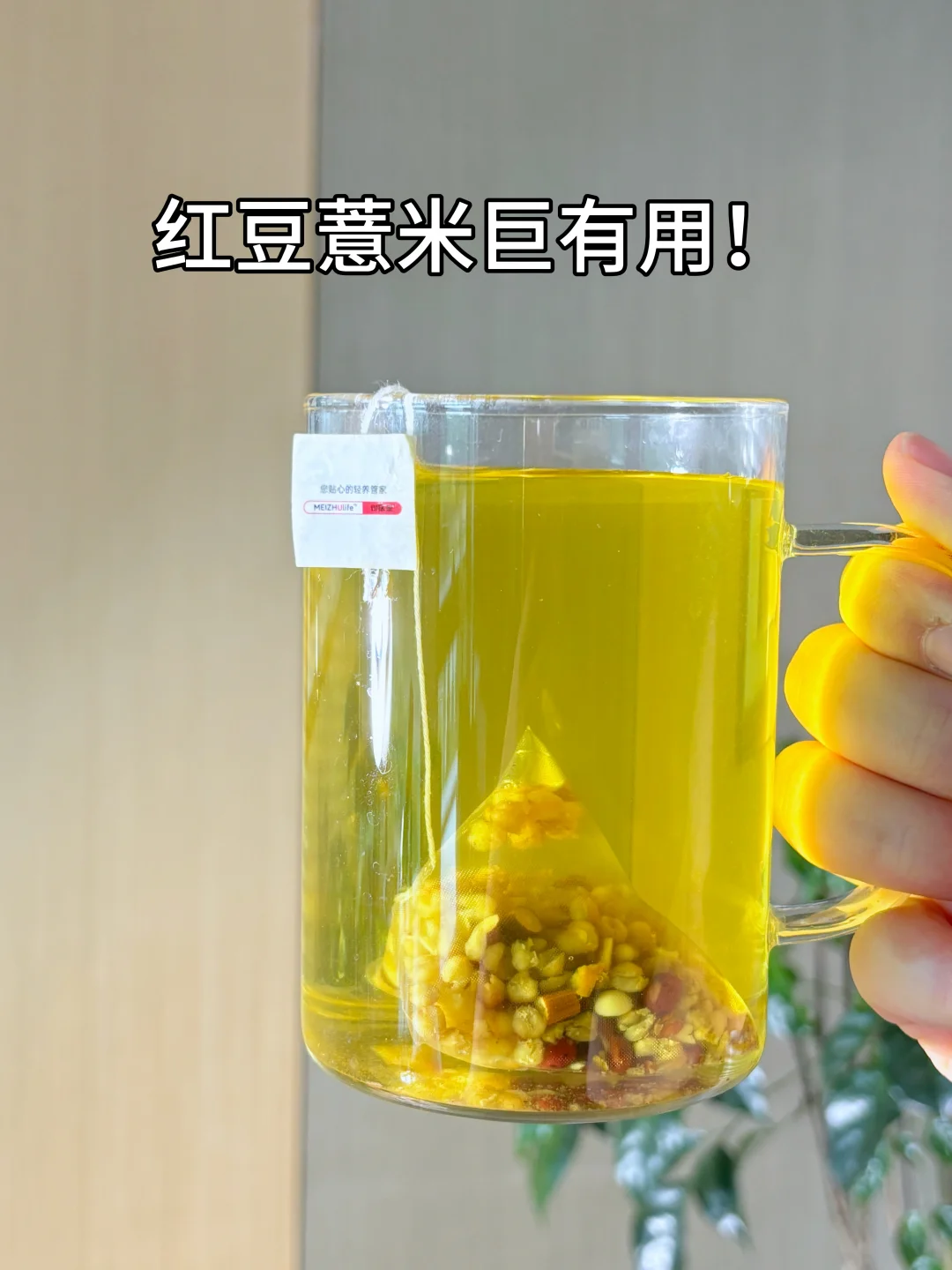 这真的不是空调房外卖党的兜底搭子吗