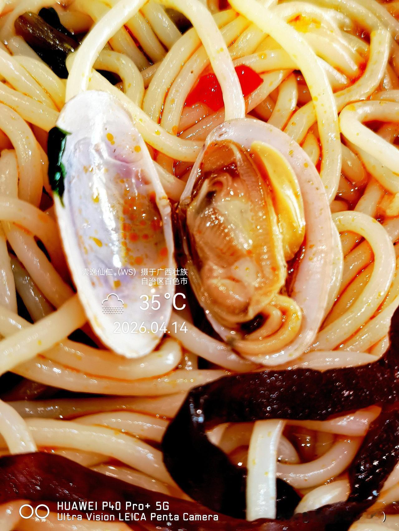 旅居生活记录（9510）广西壮族自治区百色市（195）品尝小吃51：花甲螺蛳粉（