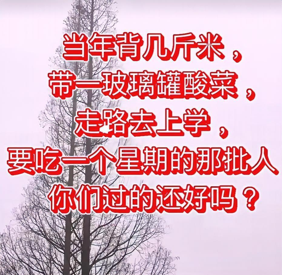 经历过的人现在好吗？