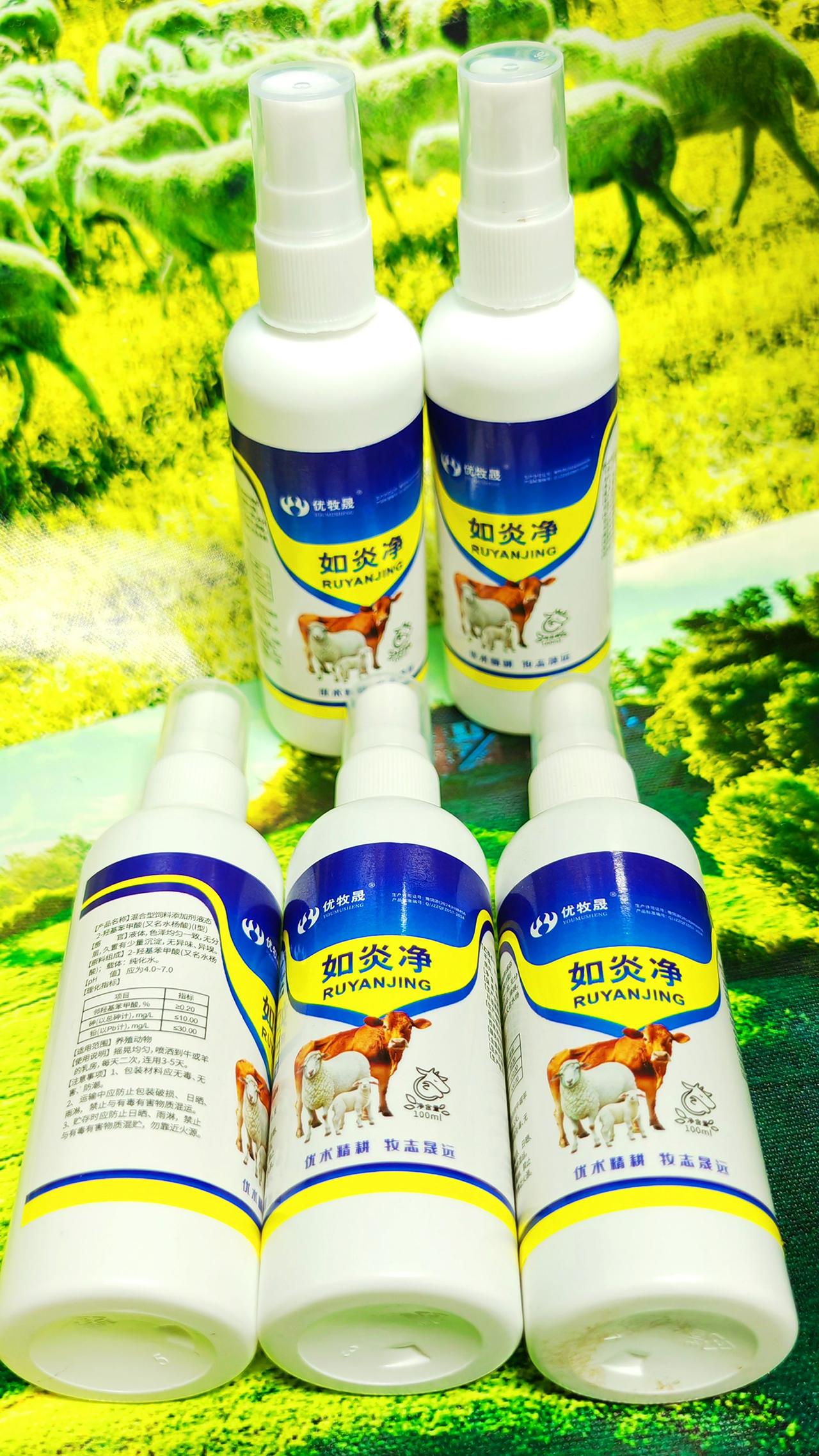 养羊人 农村养羊