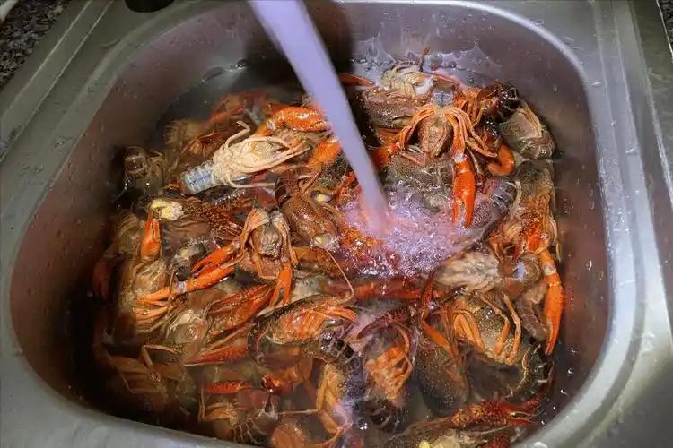 饭点突查后厨！成都两家小龙虾门店因违规用药关停
 
成都两家小龙虾店，栽了。
执