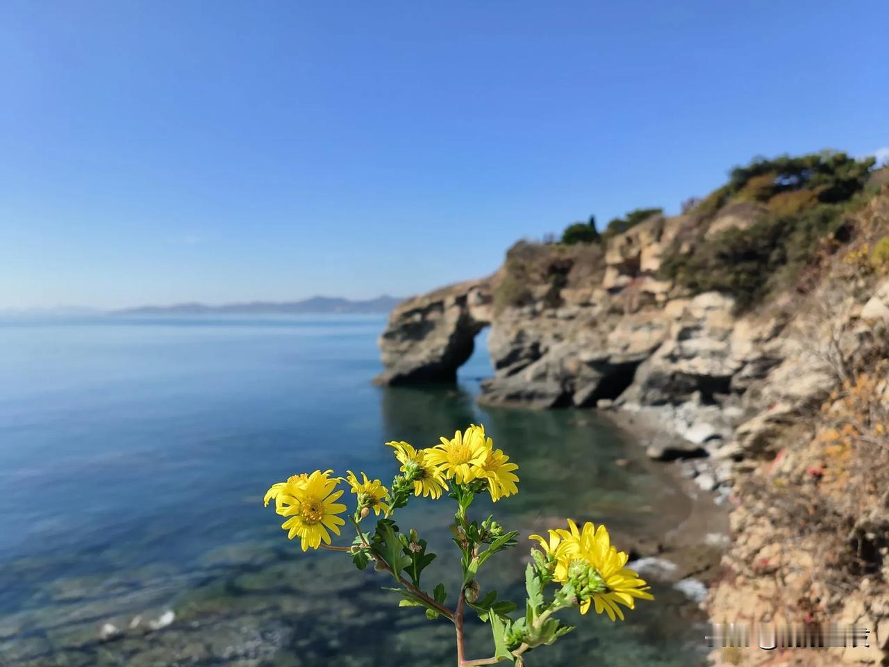 初冬大连金石滩地质公园，看海太美了，大自然太神奇了，鬼斧神工，恐龙探海，刺猬觅食